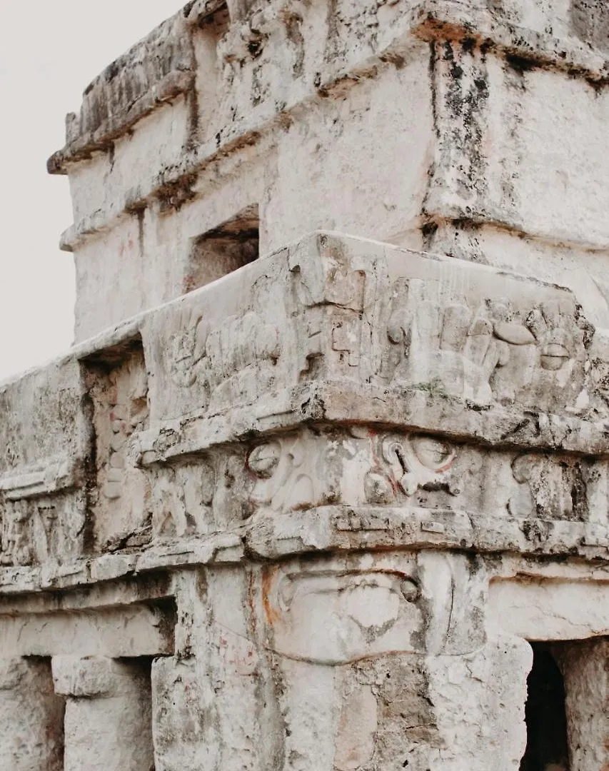 Apartment 5 Star New Luxury Condo With Cenote And Infinity Pool Tulum