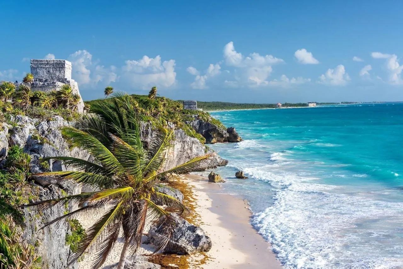 5 Star New Luxury Condo With Cenote And Infinity Pool Tulum Apartment