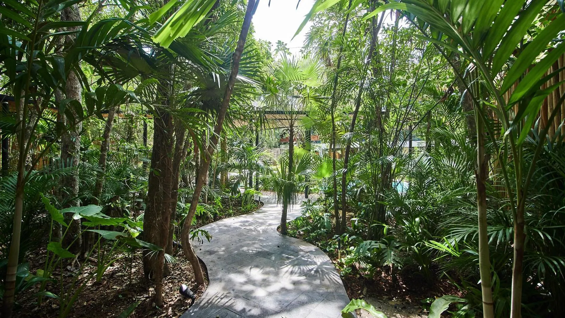 5 Star New Luxury Condo With Cenote And Infinity Pool Tulum Apartment
