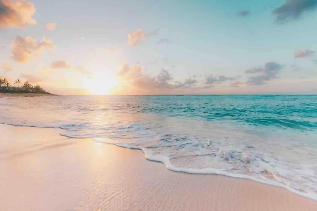 5 Star New Luxury Condo With Cenote And Infinity Pool Tulum Apartment