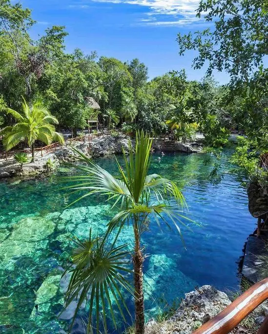 5 Star New Luxury Condo With Cenote And Infinity Pool Tulum Apartment
