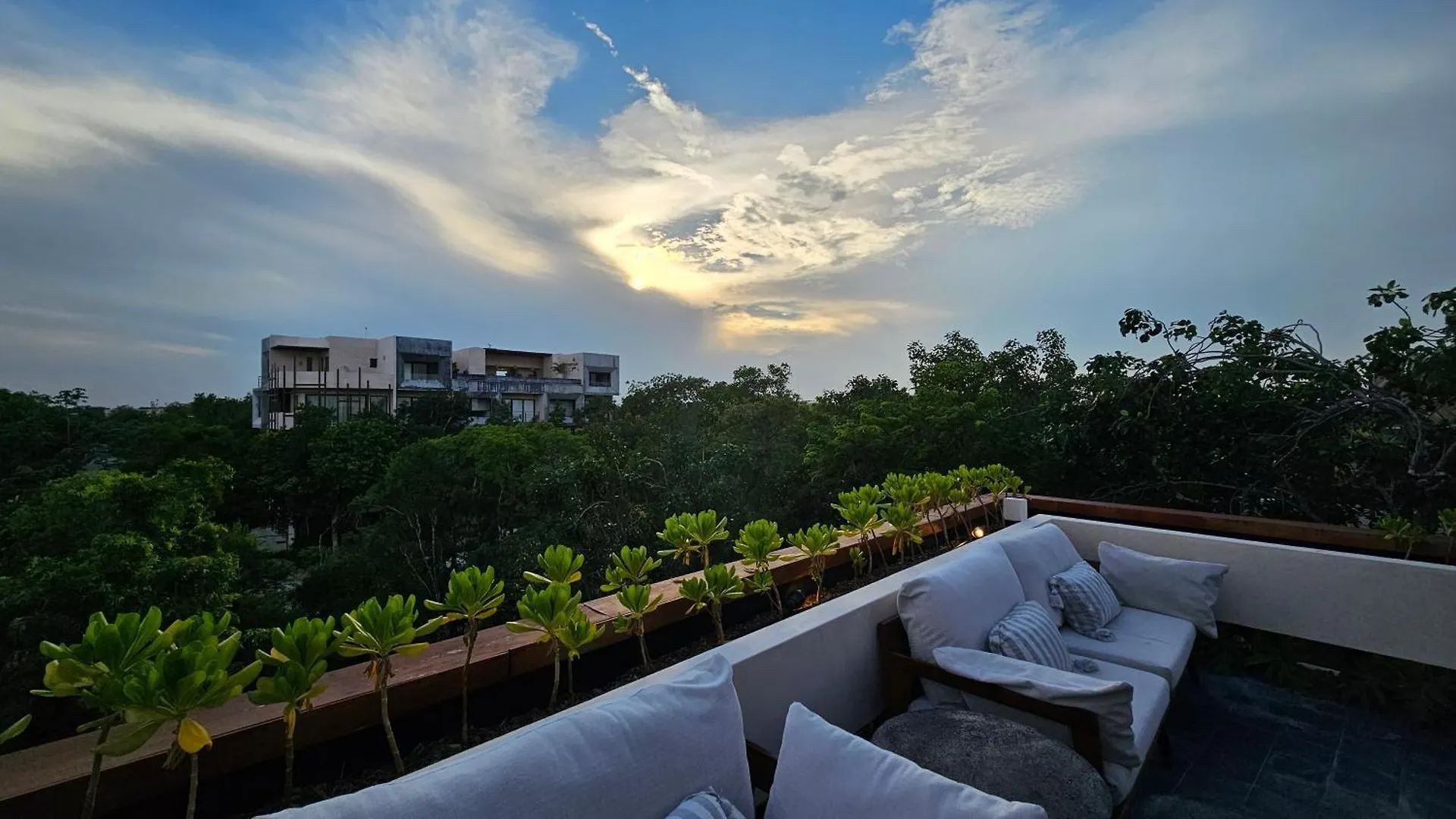 5 Star New Luxury Condo With Cenote And Infinity Pool Tulum Mexico